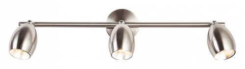 Спот Escada Tetta 10206/S в Нижнем Новгороде фото 6