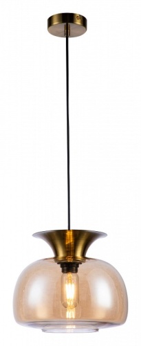 Подвесной светильник Indigo Mela 11004/1P Amber в Радужном фото 4
