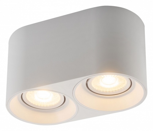 Накладной светильник Denkirs DK3040 DK3036-WH в Нижнем Новгороде фото 4