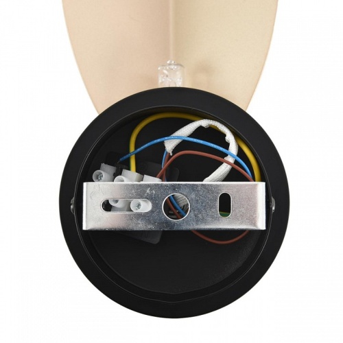 Накладной светильник Lumion MODERNI 8396/1W в Нижнем Новгороде фото 2