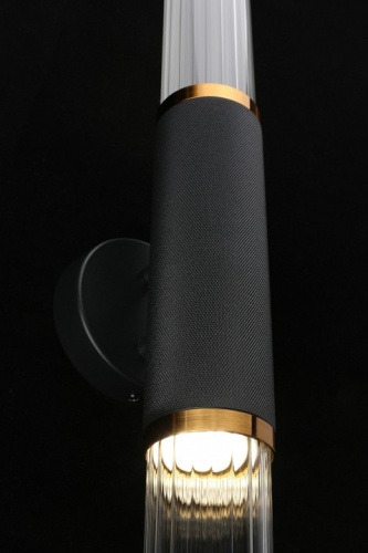 Бра Aployt Brynia APL.307.01.02 в Нижнем Новгороде фото 11