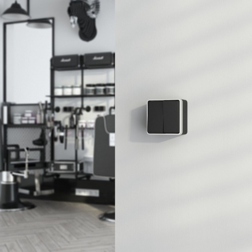 Выключатель двухклавишный влагозащищенный Werkel Gallant (черный с серебром) W5020234 в Нижнем Новгороде фото 2