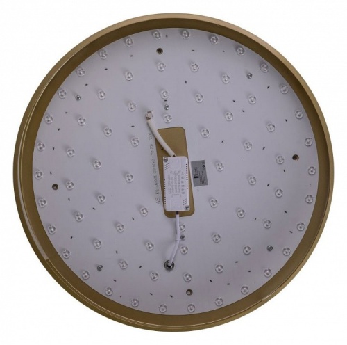 Накладной светильник Zortes Gabby ZRS.90610.50 в Нижнем Новгороде фото 7