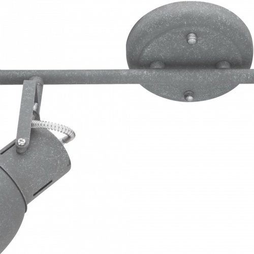 Спот Arte Lamp Jovi A1677PL-2GY в Нижнем Новгороде фото 2