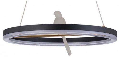 Подвесной светильник F-promo Bardy 4654-1P в Нижнем Новгороде