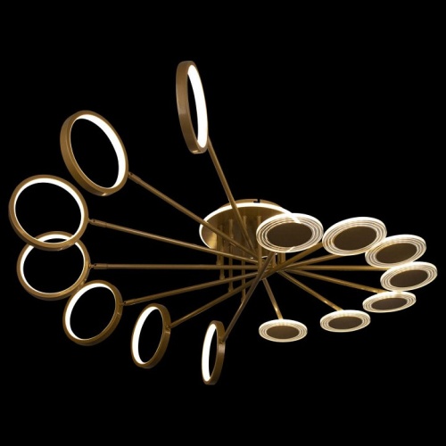 Потолочная люстра Loft it Megan 10164L Gold в Нижнем Новгороде фото 4