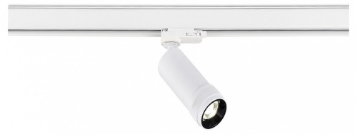 Светильник на штанге ST-Luce ST691 ST691.536.10 в Нижнем Новгороде