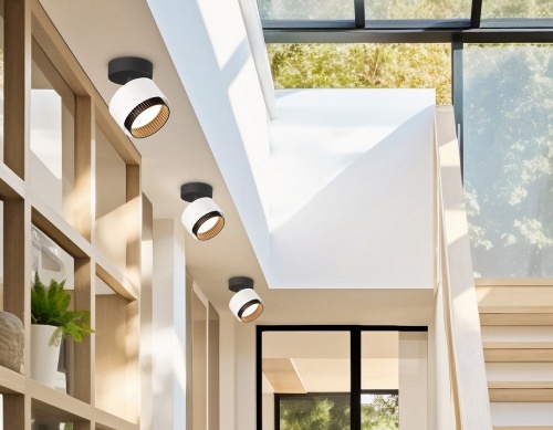 Спот Ambrella Light TN TN71279 в Нижнем Новгороде фото 5