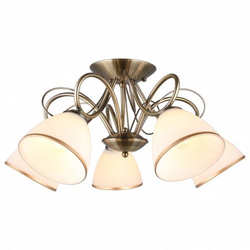 Потолочная люстра Omnilux Alimini OML-25307-05 в Нижнем Новгороде фото 2