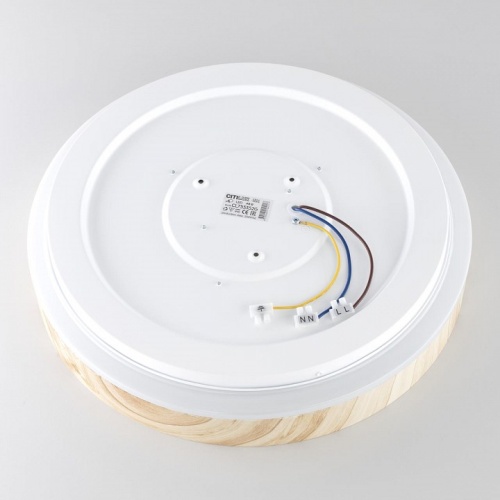 Накладной светильник Citilux ENZO CL753352G в Нижнем Новгороде фото 3