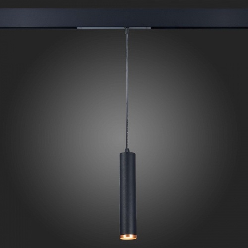 Подвесной светильник ST-Luce Skyline 220 ST659.493.10 в Нижнем Новгороде фото 2