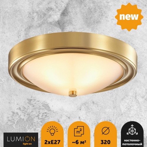 Накладной светильник Lumion Nina 5259/2C в Кировске фото 3