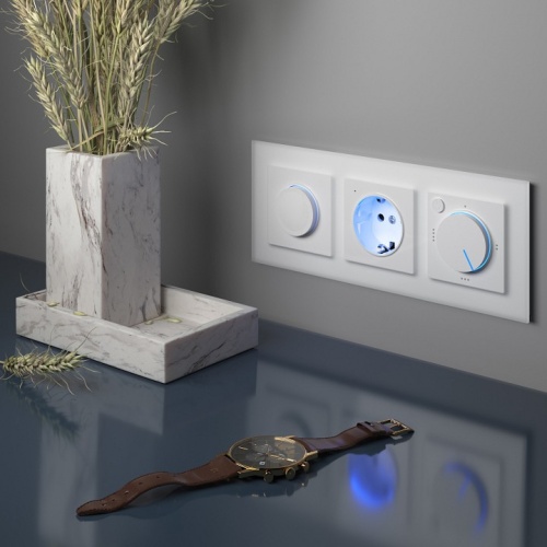 Розетка с заземлением, без рамки Werkel белый W1171401 в Нижнем Новгороде фото 4