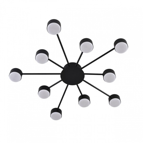 Потолочная люстра Lumion TORINA 8344/10C в Нижнем Новгороде фото 4