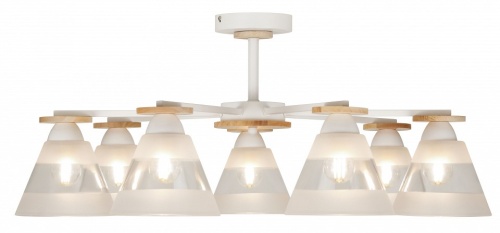 Потолочная люстра Rivoli Theothila Б0068395 в Нижнем Новгороде фото 3