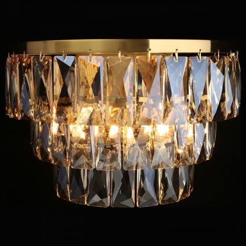 Накладной светильник Aployt Francheska APL.837.01.02 в Нижнем Новгороде фото 3