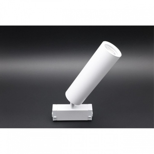 Светильник на штанге Aployt Magnetic track 220 APL.0210.11.01 в Нижнем Новгороде фото 4