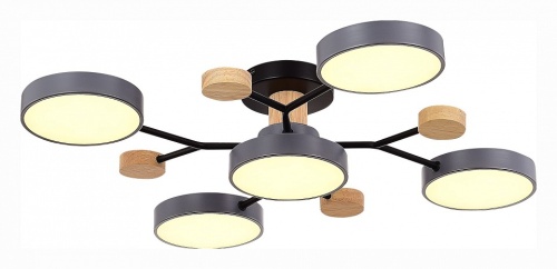 Потолочная люстра EVOLUCE Faema SLE6006-702-05 в Нижнем Новгороде фото 5