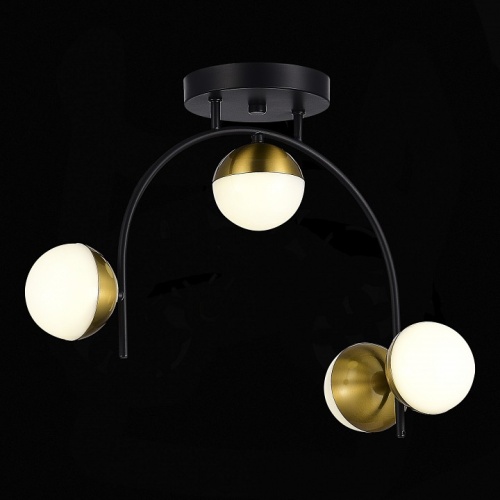 Потолочная люстра EVOLUCE Aarnio SLE6500-402-04 в Нижнем Новгороде фото 4