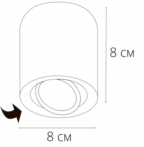 Накладной светильник Arte Lamp Beid A1513PL-1WH в Сельцо фото 2