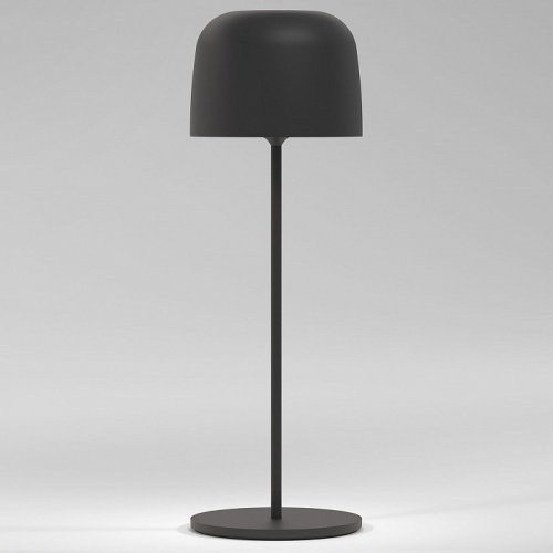 Настольная лампа декоративная Elektrostandard Bitty a069002 в Нижнем Новгороде