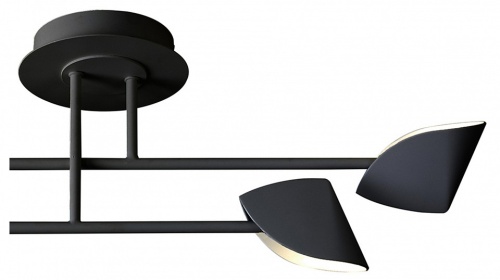 Люстра на штанге Mantra Capuccina 7582 в Нижнем Новгороде фото 3