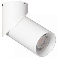 Светильник на штанге DeMarkt Прайм 850011301 в Нижнем Новгороде