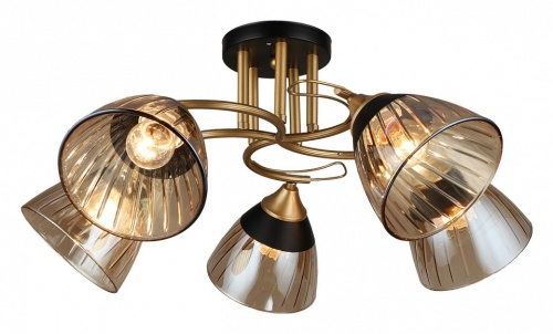 Потолочная люстра 04619-0.3-05 в Нижнем Новгороде