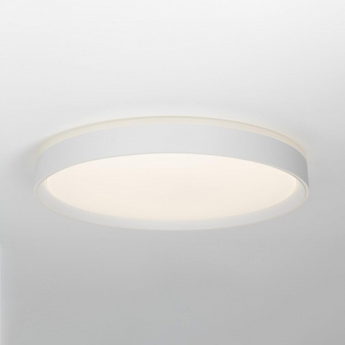 Накладной светильник Citilux BOSS CL751450G в Нижнем Новгороде фото 10