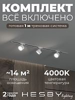 Комплект трековый Hesby Lighting Skylite №13 HSBL_kompl_S013_VI1W4K в Нижнем Новгороде