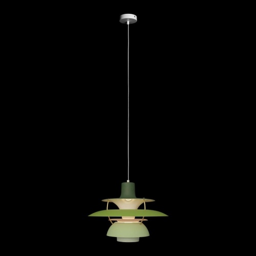Подвесной светильник Loft it Floret 10113 Green в Радужном фото 4