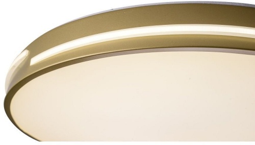 Накладной светильник Zortes Gabby ZRS.90610.50 в Нижнем Новгороде фото 4