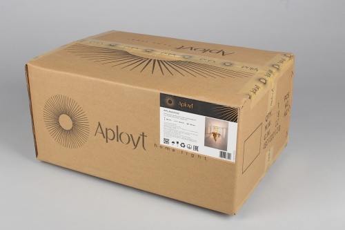 Накладной светильник Aployt Ornella APL.642.01.02 в Нижнем Новгороде фото 9