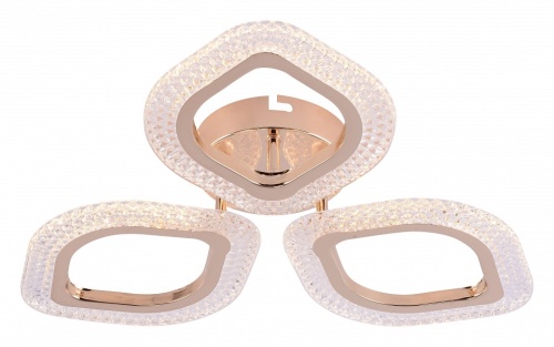 Потолочная люстра Rivoli Erminia Б0068410 в Нижнем Новгороде