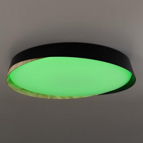 Накладной светильник Citilux BONNY CL754451G в Нижнем Новгороде фото 14