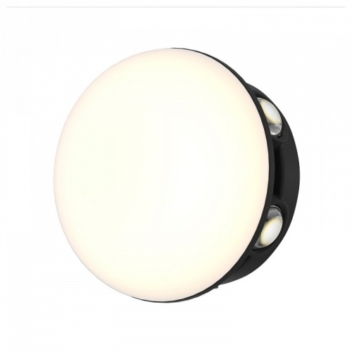 Накладной светильник Favourite Option 4853-1W в Нижнем Новгороде фото 4