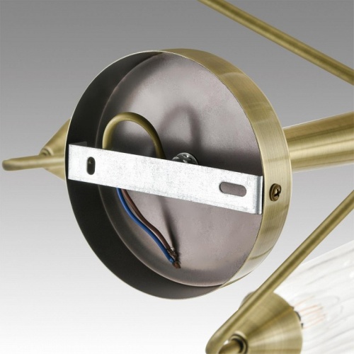Люстра на штанге Lumion Doliana 6584/8C в Нижнем Новгороде фото 3