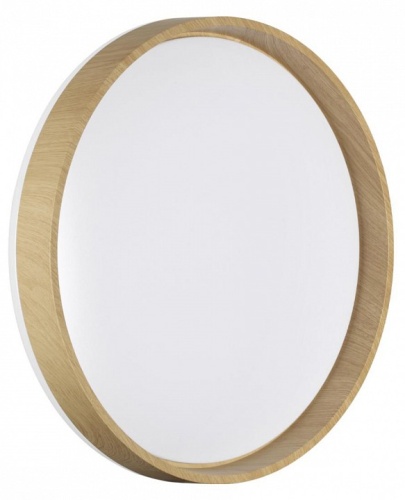 Накладной светильник Sonex BASICA 7684/ELN в Нижнем Новгороде