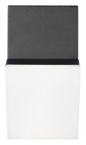 Накладной светильник Loft it Eterno 100010/A в Нижнем Новгороде фото 3