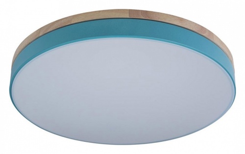 Накладной светильник Loft it Axel 10001/36 Blue в Нижнем Новгороде фото 3