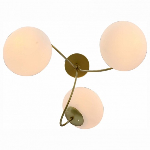 Потолочная люстра EVOLUCE Acini SL717.202.03 в Нижнем Новгороде фото 2