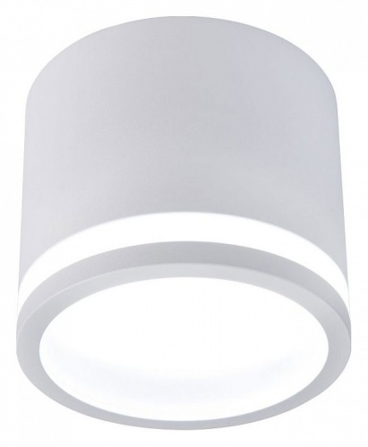 Накладной светильник Favourite Festum 4213-1C в Нижнем Новгороде фото 2