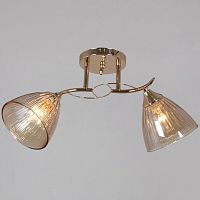 Светильник на штанге  02560-0.3-02 FG в Нижнем Новгороде