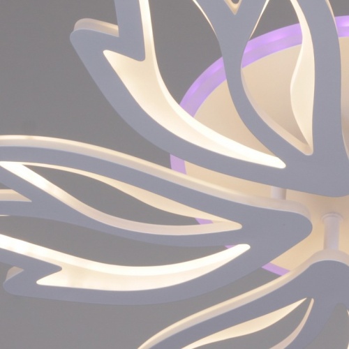 Потолочная люстра 09862-0.3-06 WH (RGB) в Нижнем Новгороде фото 2