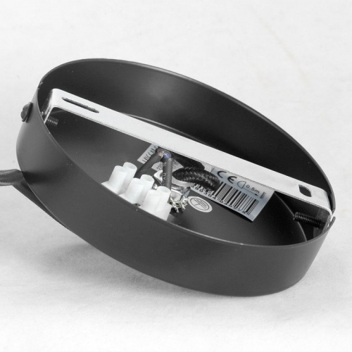 Подвесной светильник Lussole Strawberry GRLSP-8212 в Нижнем Новгороде фото 3