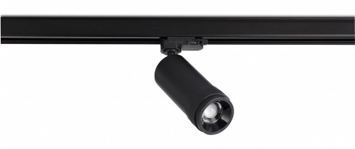 Светильник на штанге ST-Luce  ST691.436.20 в Нижнем Новгороде