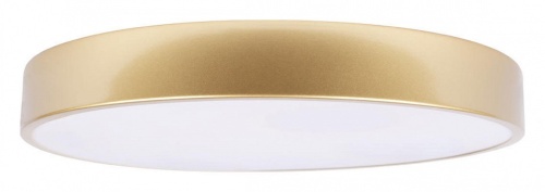 Накладной светильник Loft it Flims 10228/A в Нижнем Новгороде фото 7