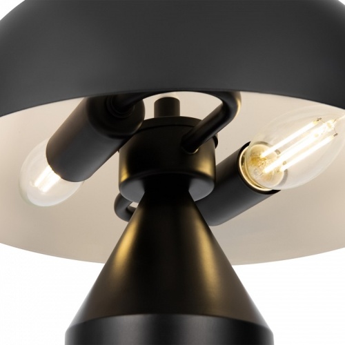 Настольная лампа декоративная Freya Eleon FR5218TL-02B1 в Артемовском фото 5