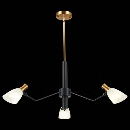 Люстра на штанге EVOLUCE Lita SLE205403-03 в Нижнем Новгороде фото 4