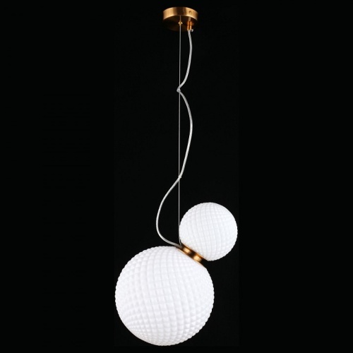 Подвесной светильник Aployt Patunia APL.301.06.02 в Нижнем Новгороде фото 6